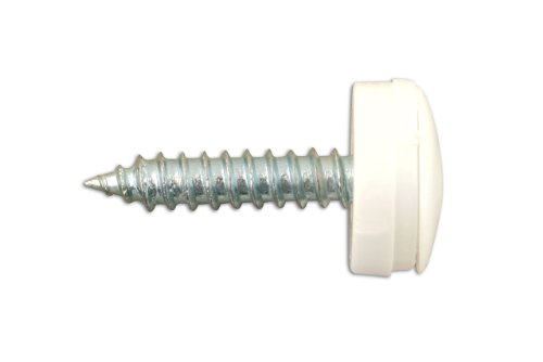 Connect 31538 - Tornillo con tapa no. 8 para matrícula (1,90 cm, 100 unidades), color blanco