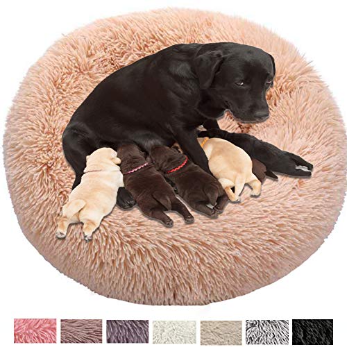 HANHAN cómoda cama para perro XXL cueva de donut calmante mimbre ortopédico ansiedad 2 perros mayores sofá redondo lavable a máquina cesta de dormir suave Jumbo tamaño mediano extra grande cojín caqui