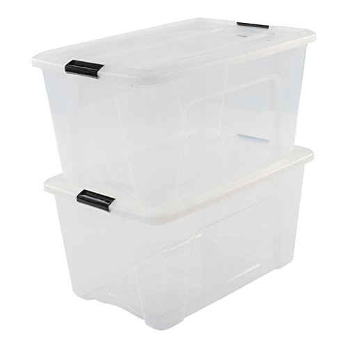 Iris Ohyama NTB-45 X2 Clear - lote de 2 cajas apilables de almacenamiento, Transparente, 45 L