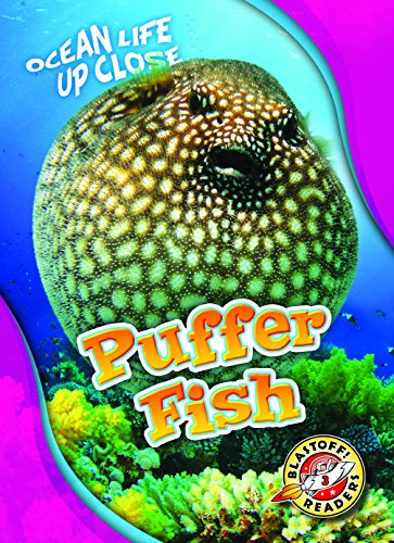 Puffer Fish (Ocean Life Up Close)