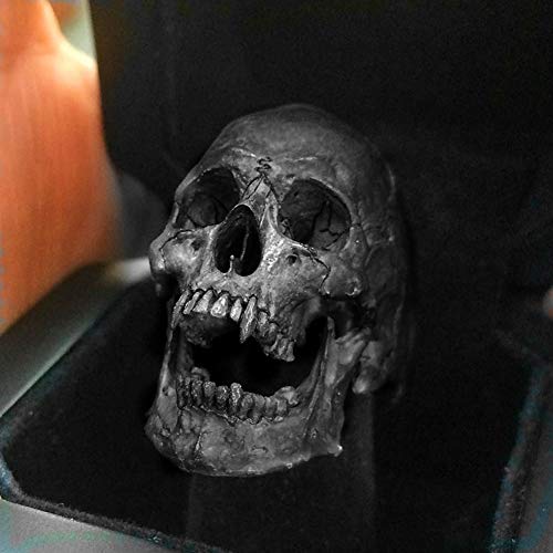 QZY Gótico Vintage Devil Satan Goat Skull Vampire Skull Ring Anillo Negro de Acero Inoxidable Punk Ring Fashion Men's Motorcycle Rock Jewelry Rings,Vampire Skull,11