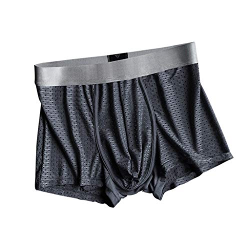 R-Cors Ropa Interior Masculina Ropa Interior de Seda de Hielo,Ropa Interior de Seda de Hielo antibacteriana de Iones de Plata Disponible en una Variedad de Colores, Bragas de Malla(Gris Oscuro,XL)