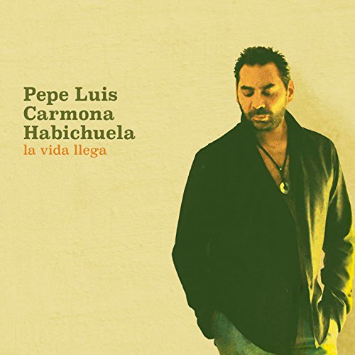 Su Pelo (feat. Raimundo Amador, Jorge Pardo)