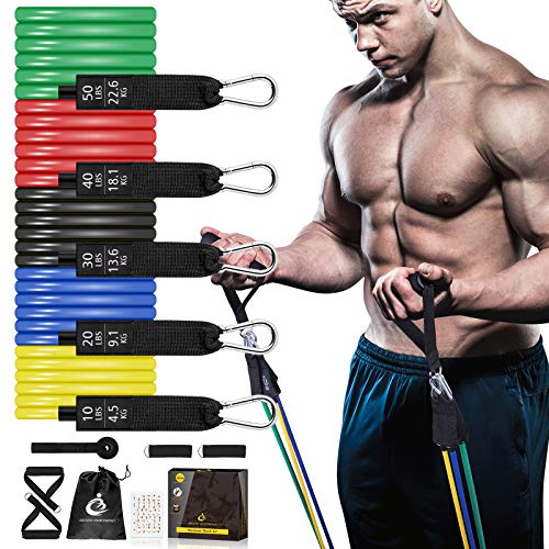 Bandas de Resistencia Fitness,Bandas Elasticas Musculacion 12 Pack con 5 Tubos,Manijas y Ancla de Puerta,Set de Bandas de Resistencia para Fitness/Terapia Física/Yoga/Gimnasio en Casa,Adultos Unisex