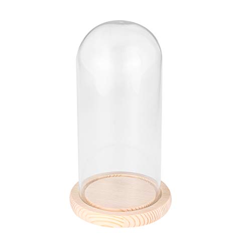 BESPORTBLE 9X24cm Pantalla de Cristal Domo Cloche DIY Artesanía Cubierta de Flores Transparente con Base de Madera Campana Pantalla Domo para Oficina en Casa