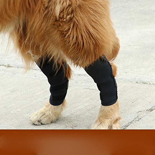 BXGZXYQ Almohadillas para Las Rodillas del Perro Nuevo Protector para Mascotas Lesión En El Perro Cirugía Cubierta Protectora Suministros para Mascotas (Color : Negro, Size : XL)