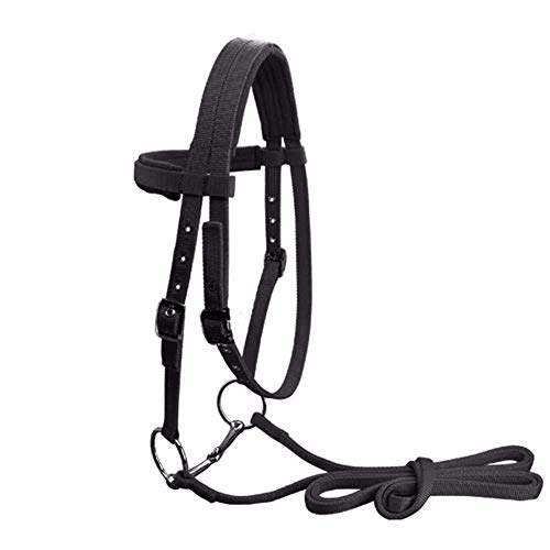 CLBING Cabezada para Caballos Cabestros Ecuestres De Caballo Ajustables Y Brida De Caballo Halter con Cinturón De Rienda Fijo,Black-L