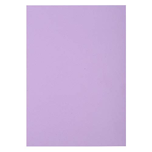 Exacompta 405016E - Lote de 250 subcarpetas Forever 60, tarjeta reciclada, formato 22 x 31 cm, 60 g/m2, para formato A4, color lila