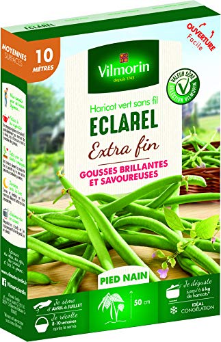 Vilmorin 1109281 Eclarel extrafino Color Verde Brillante - Pies Enanos, variedades Muy productivas, sin Hilos ni pergaminos, Caja de 225 Semillas por 10 Metros de Haricots