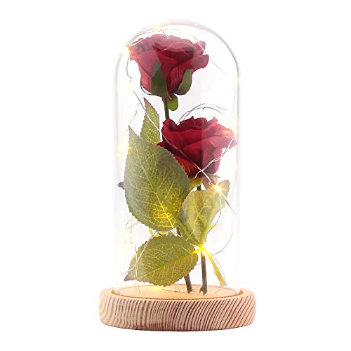 XIANNVV 2PCS DIY Rosa de seda artificial con pantalla de cristal, 20-LED Luz de tira blanca cálida para el Día de San Valentín Día de la madre Regalo de cumpleaños de Navidad
