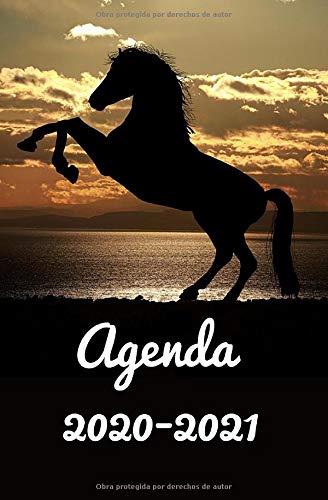 Agenda 2020-2021: Agenda organizacional o escolar | Caballo | Tamaño de bolsillo diario (una semana = 2 páginas) | Dimensiones: 15,32 x 20,34 cm.