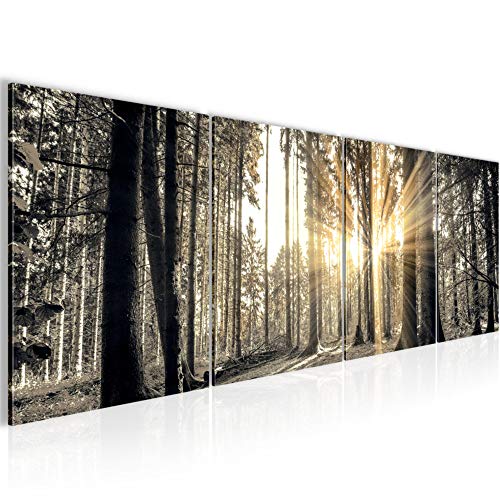 Conjunto de imágenes Bosque paisaje Cuadro Sala XXL 160 x 50 cm Gris marrón Moderno 5038a