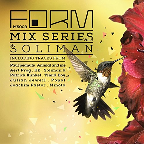 Form Mix Series, Pt. 2 (Continuous Mix) [Mixed by Soliman]