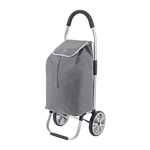 Metaltex Carro de Compra Plegable, Gris, 45 litros