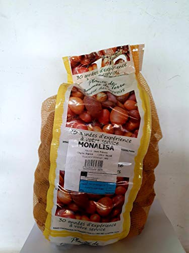 Patata de siembra Monalisa piel amarilla bolsa 5kg