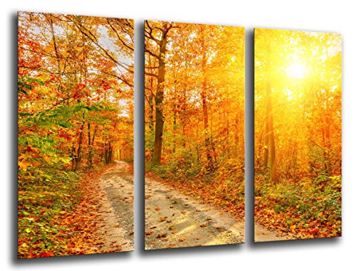 Poster Fotográfico Bosque Otoño, Paisaje Naturaleza, Atardecer Tamaño total: 97 x 62 cm XXL