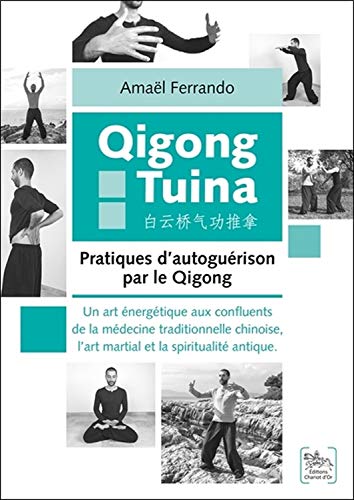 Qigong tuina tome 2 - pratiques d'autoguerison par le qigong