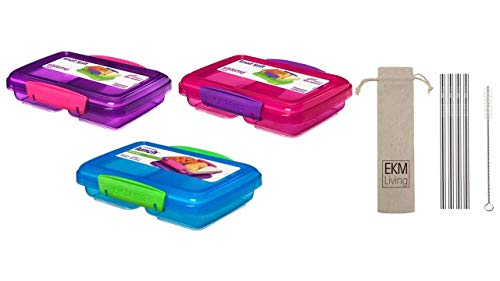 Sistema Lunchbox 2er Set small Split 2fach unterteilt pink & lila 5000095