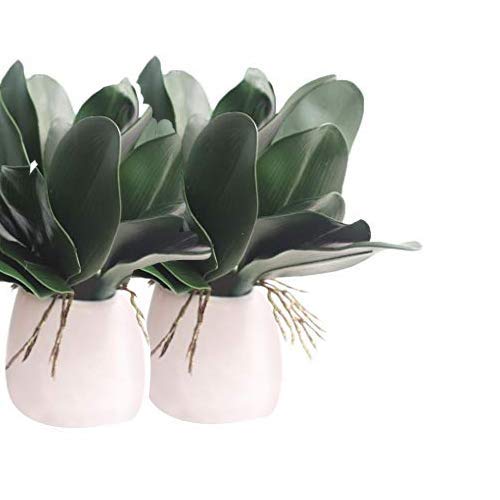 teng hong hui Hoja de la Planta de la Planta Verde 2pcs Artificial de orquídeas Phalaenopsis Hojas orquídea Artificial en Maceta Decorativa del Ministerio del Interior