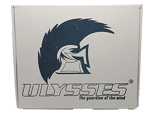 Ulysses Tyre Sealant, the guardian of the wind 2 Cámaras Antipinchazos 700-23/28 - FV60