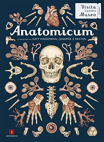 Anatomicum: 29 (El chico amarillo)