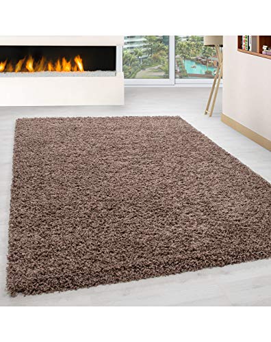 Carpet 1001 Pelo Largo Peluda Sala de Estar Alfombra Shaggy Altura del Hilo de 3cm unifarbe Mocca - 240x340 cm