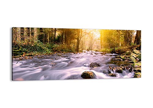 Cuadro sobre Lienzo - de una Sola Pieza - Impresión en Lienzo - Ancho: 120cm, Altura: 50cm - Foto número 0504 - Listo para Colgar - en un Marco - AB120x50-0504