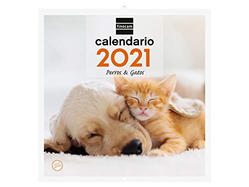 Finocam 780303921 - Calendario de pared 2021 Escribir Imágenes 300x600 mm - 30x30 Perros y gatos Español