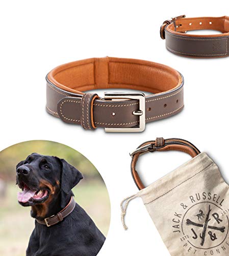 Jack & Russell Premium Perro Cuero Collar Amy - Collar de Cuero Genuino con Grabado Original de J & R Sello en Relieve - Robusto y Elegante (XL - Circunferencia del Cuello 53,5-62,0 cm)