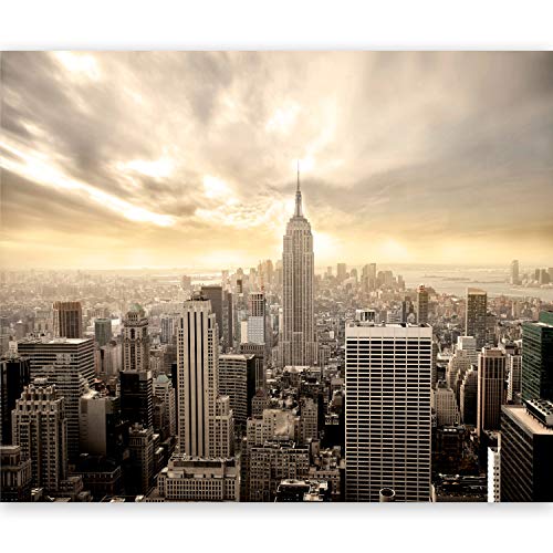 murando Fotomurales Nueva York 250x193 cm XXL Papel pintado tejido no tejido Decoración de Pared decorativos Murales moderna de Diseno Fotográfico New York - 100404-2