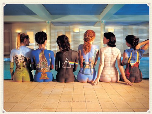 Pink Floyd WDC90002 - Panel de lienzo, 60 x 80 cm, 'Catalogue Volver', color rosa