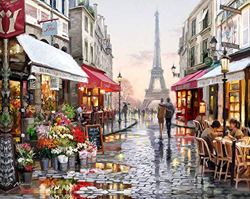 Suntown Pintura por números Pintura de Lona 40x50cm para Adultos y niños con Pinturas acrílicas y 3 Pinceles - Nuestros Recuerdos en París ( Sin Marco )