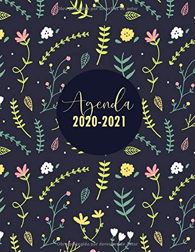 Agenda 2020-2021: Calendario 18 meses | Planificador Semanal Mensual | Agenda Para la Productividad, Motivación y Lograr tus Metas | Julio 2020 a Diciembre 2021