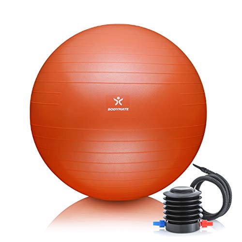 BODYMATE Pelota de Ejercicio para Fitnes | con bombín y Libro electrónico | con Sistema antirreventones