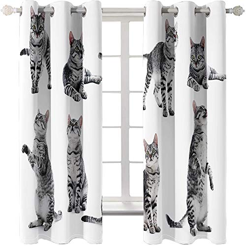 Generic Brands Cortinas Opacas con Ojales Dormitorio Habitación Infantil Estilo Decorativo Aislantes Térmicas Cortina -Lindo Gato 140 cm Ancho x 210 cm Altura