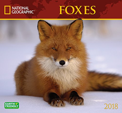 National Geographic Foxes 2018 Wall Calendar