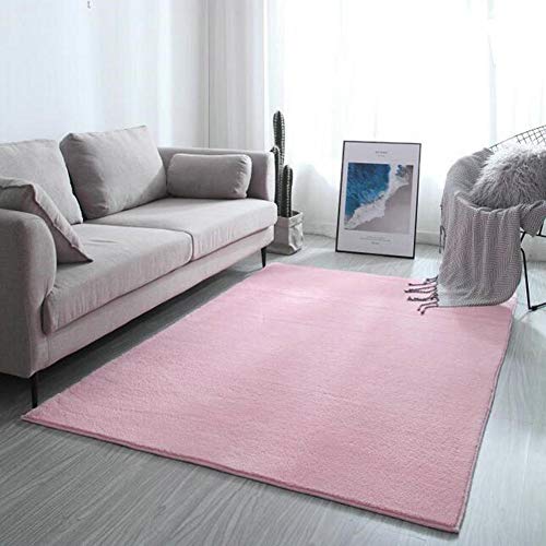 SKRCOOL Área Shaggy Rugs For Living Room,Oval Fuffy Shag Alfombra Pelo Largo Alfombras,Moderno Pelo Largo Soft Touch Alfombra-Rosa Claro 200x280cm