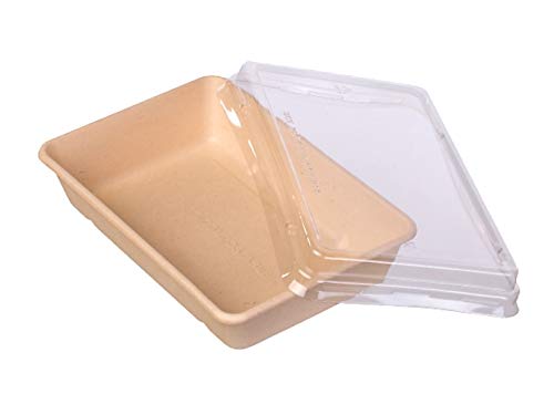 bio3 Contenedores Desechables para Llevar con Tapa, Envase Comida para Llevar, 100% Biodegradables y Compostables, 23x15x6cm, Capacidad 850ml, Paquete con 10 Juegos