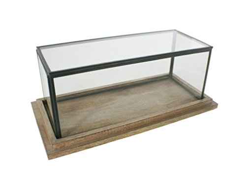 CAL FUSTER - Urna de Cristal Rectangular Baja. Medidas: 14X34X16 cm.