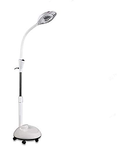 DXXWANG Lámpara de pie, luces decorativas de lectura, lámpara de aumento de dioptrías 8X, interruptor de un botón, facial para odontología, salón de tatuajes de belleza, uñas, 220 V, lectura, luz frí