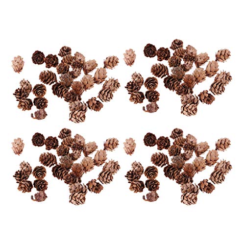 Hellery 120x Lot Mini Pinecone Pine Cones Home Jarrón Filler Display Table Decoration