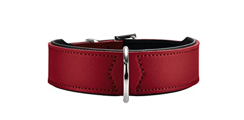 Hunter - Collar de perro, rosso, 30-34,5 cm, 2,6 cm ancho