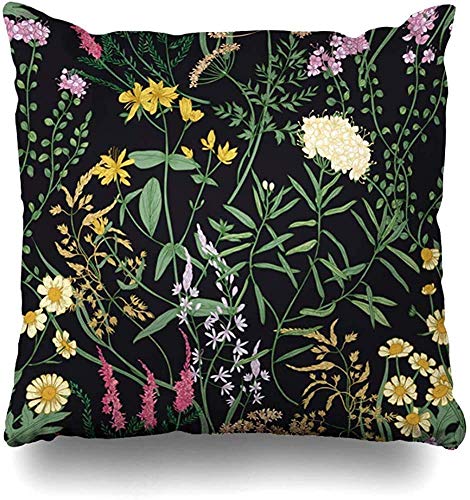 JONINOT Doble Cojines Fundas 18" Dibujado Floral Salvaje Naturaleza Natural Antiguo Botánico Manzanilla Funda de Almohada Suave para la Piel