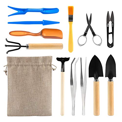 KOTWDQ Juego de herramientas básicas para bonsái, 12 piezas, herramientas de mano para jardín suculentas