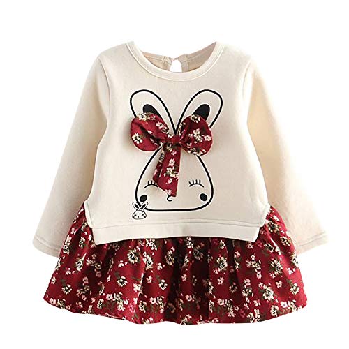 Logobeing Ropa De Bebe Niña 2-6 Años Princesa Floral Conejo de Dibujos Animados Conejito Princesa de Dibujos Animados Vestido de Fiesta Ropa de Vestir (3 Años, Rosado)