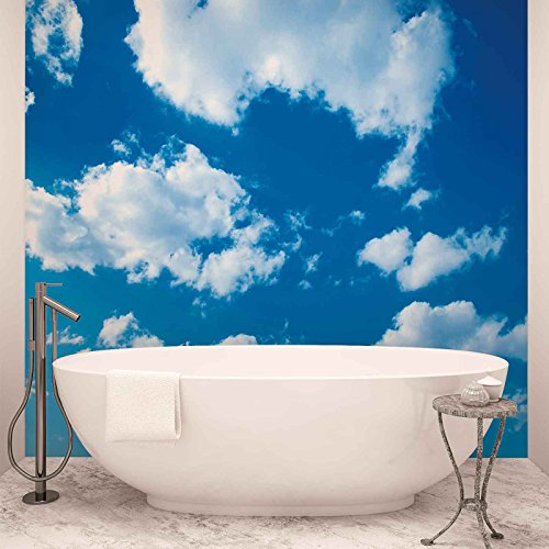 Nubes Cielo Natural Papel Pintado Fotográfico – cuadro de papel pintado (1992fw), FIELTRO (EasyInstall), XXXL - 416cm x 254cm