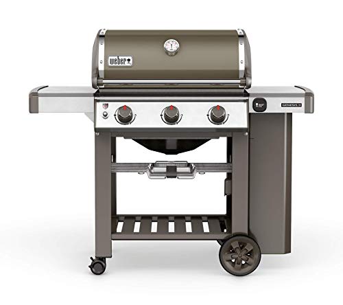 Weber Genesis II E-310 GBS, gris ahumado.