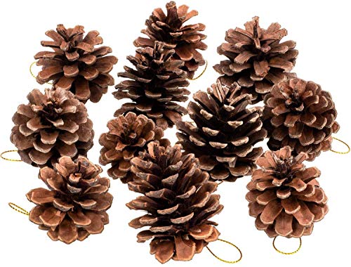 Whaline - Juego de 25 Adornos de Pino rústico Natural con Cuerda para Regalo, para Fiesta, Colgar, decoración, árbol de Navidad (1,6-2,4 Pulgadas)