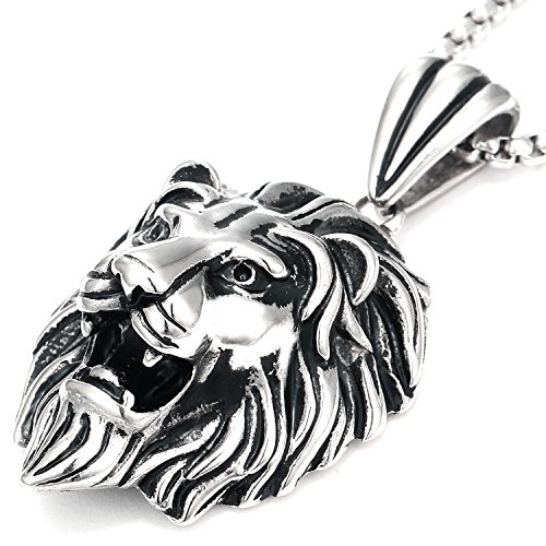 DonDon Collar con Colgante león de Acero Inoxidable para Hombres en Bolsa para Joyas