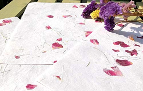 ECO- PAPEL Hojas de Papel Blancas Recicladas Hechas a Mano en India con Pétalos de Flores - Tamaño A4 Paquete de 20-21x28,5cm (Blanca con Petalos Rosas)